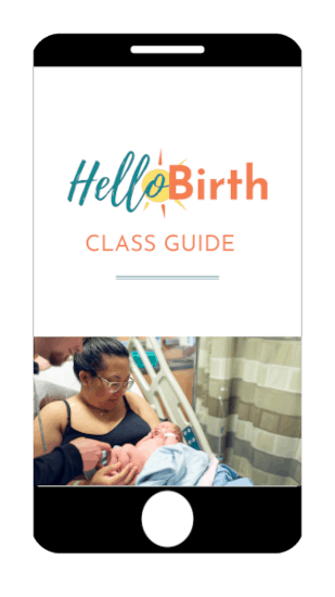 Class Guide Icon